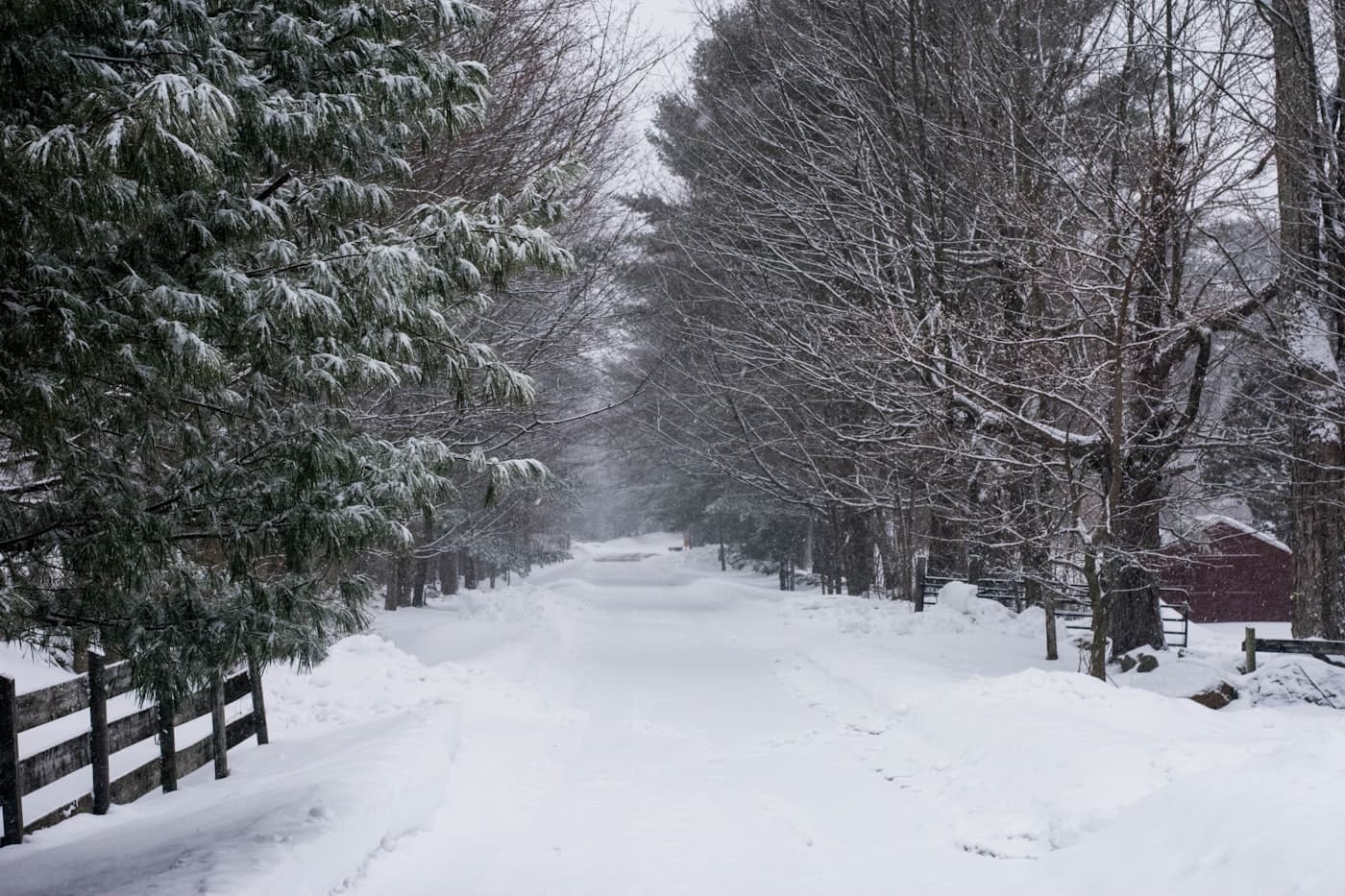 Snow Removal